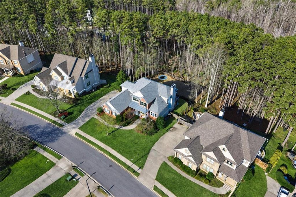 167 Calming Water Trail Dallas, GA 30132 - Photo 60 of 64 an aerial view of a house with garden space and street view