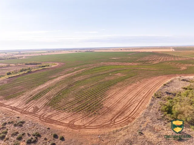 a view of an ocean and beach