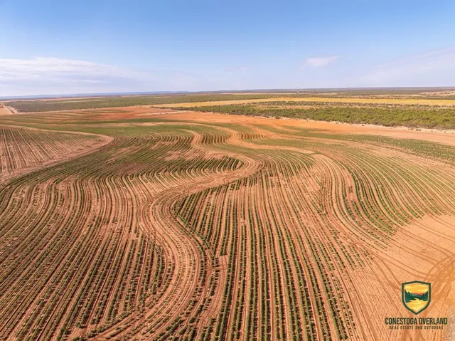 a view of an ocean and beach