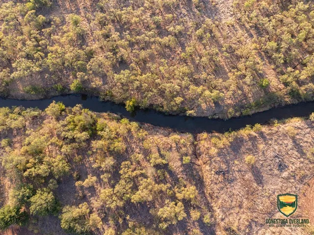a view of yard from a yard