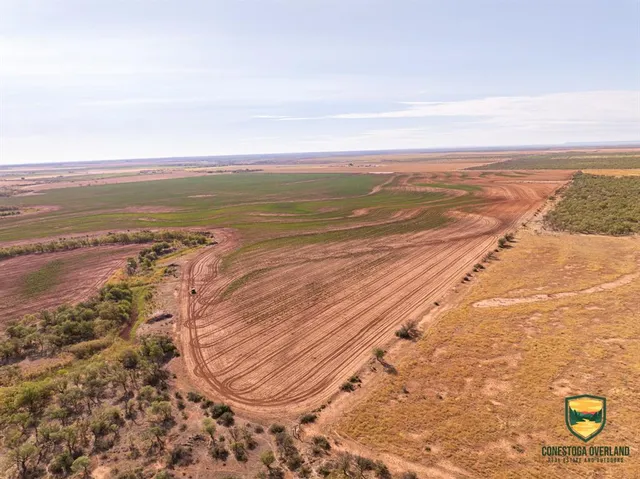 a view of an ocean and beach