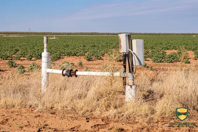 a bathroom with a yard