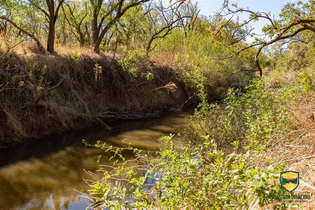 $1,086,280 | 158 County Road 158, McCaulley, TX 79534