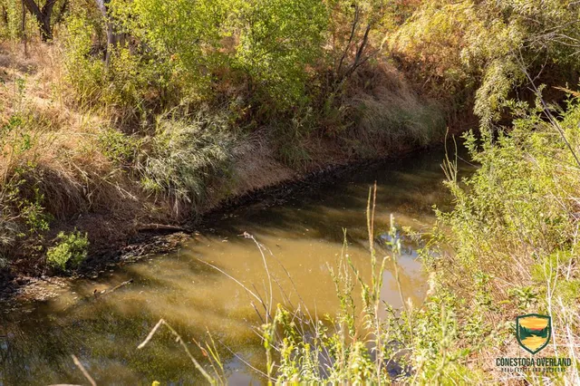 $1,086,280 | 158 County Road 158, McCaulley, TX 79534