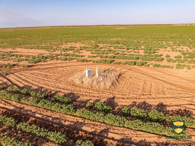 a view of an ocean and beach