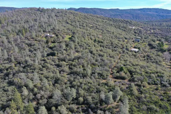 a view of mountain and tree