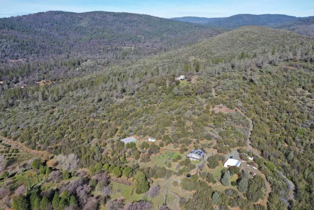 a view of a dry yard with green space