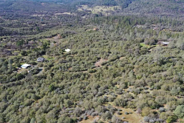 a view of a dry yard with trees
