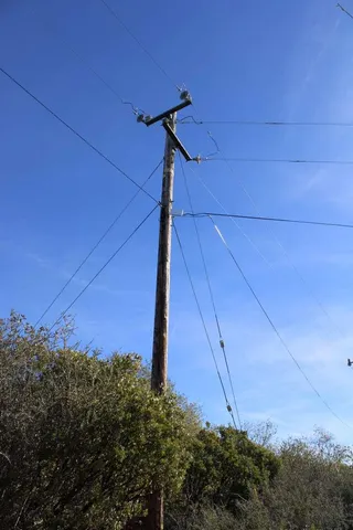 a view of a forest with trees in the background