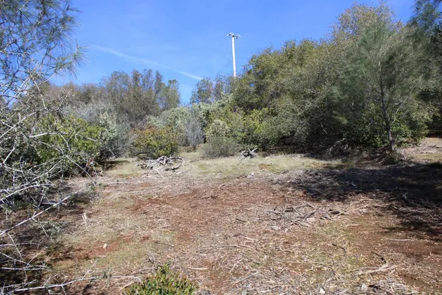 a view of white house and tree s