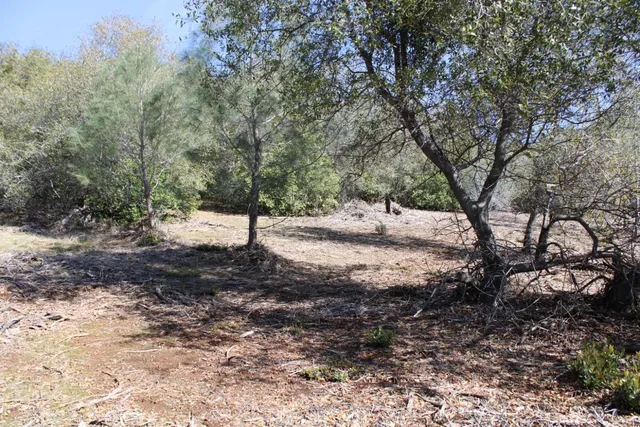 a view of a yard covered in snow