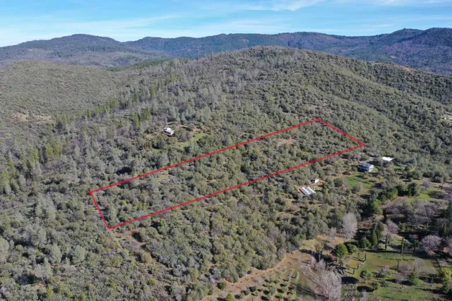 a close up of a plant