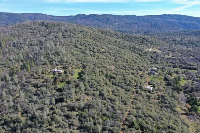 a view of a covered with green field