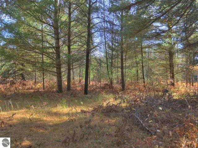 4-5 Bourne Road Fife Lake, MI 49633 - Photo 5 of 5