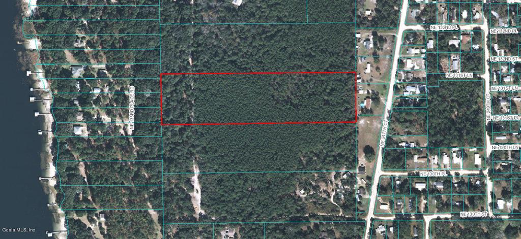 0 Northeast 133rd Pl Road Salt Springs, FL 32134 - Photo 1 of 1 1