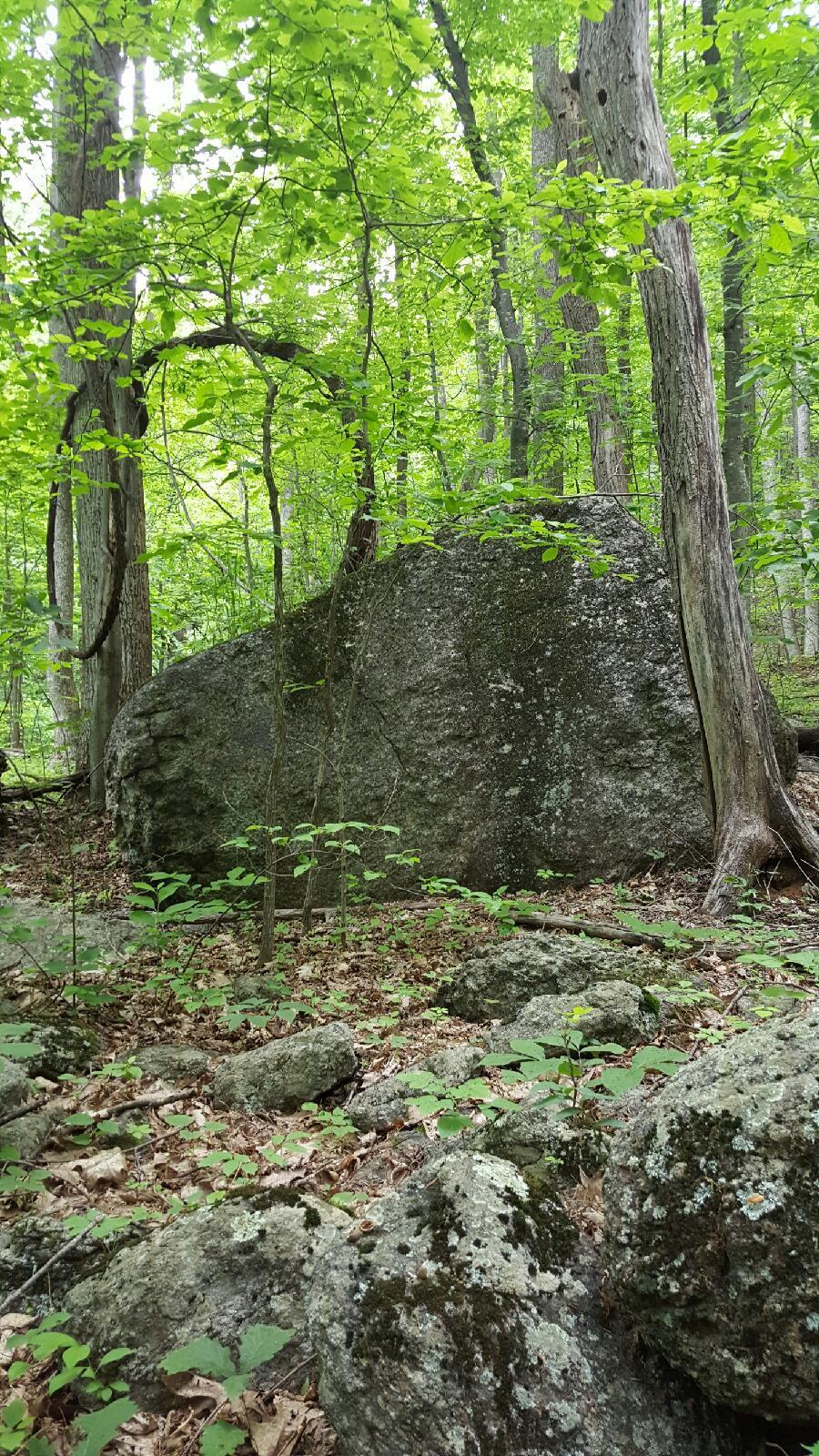 0 Masons Knob Road Boones Mill, VA 24065 - Photo 1 of 5 20251009_Guthrie_Land_IMG_1755