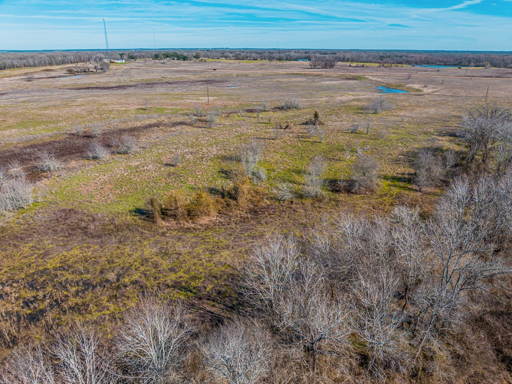 0 Private Road Athens, TX 75751 - Photo 9 of 22
