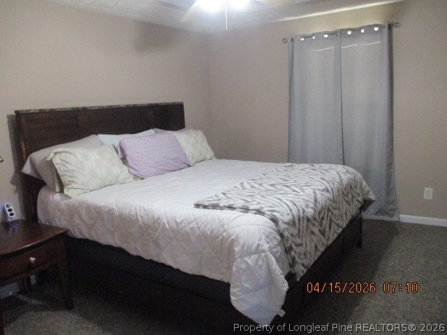 5721 Royal Farms Road Wade, NC 28395 - Photo 19 of 42