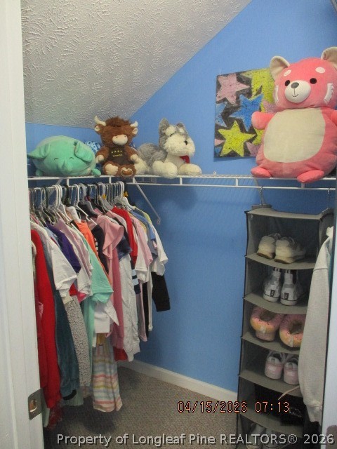 5721 Royal Farms Road Wade, NC 28395 - Photo 26 of 42