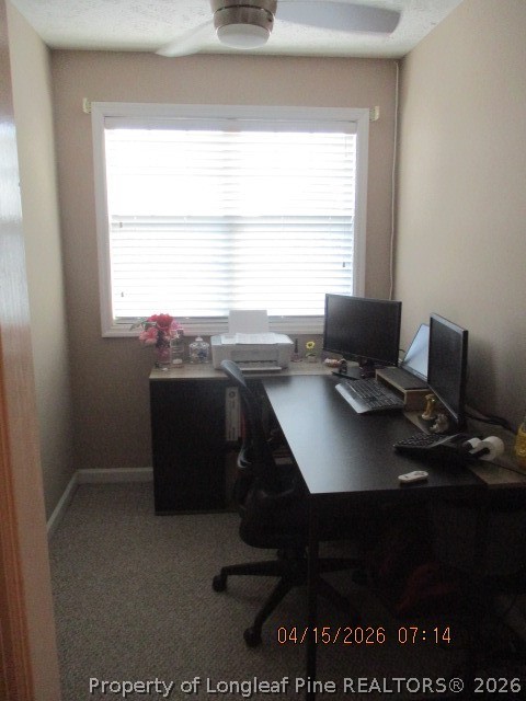 5721 Royal Farms Road Wade, NC 28395 - Photo 27 of 42