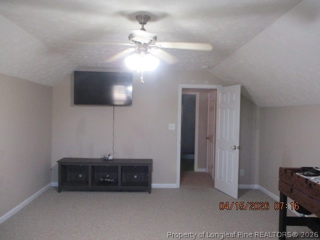 5721 Royal Farms Road Wade, NC 28395 - Photo 32 of 42