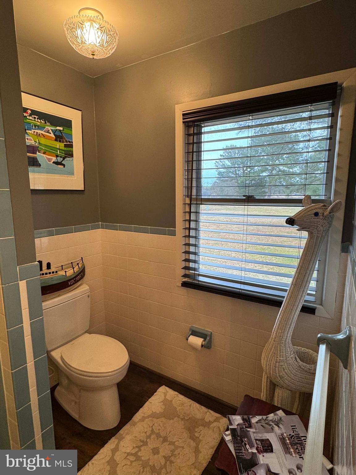 5000 Joshua Thomas Road Marion Station, MD 21838 - Photo 58 of 77 a bathroom with a toilet a sink and a large mirror