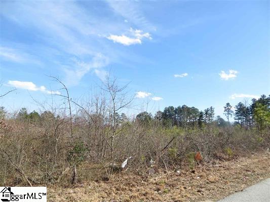 Kelly Road Spartanburg, SC 29307 - Photo 1 of 10 Gallery Image 1