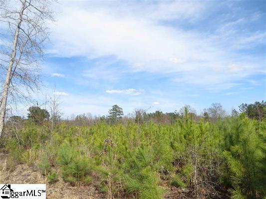 Kelly Road Spartanburg, SC 29307 - Photo 3 of 10 Gallery Image 3