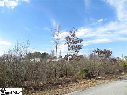 Kelly Road Spartanburg, SC 29307 - Photo 4 of 10 Gallery Image 4