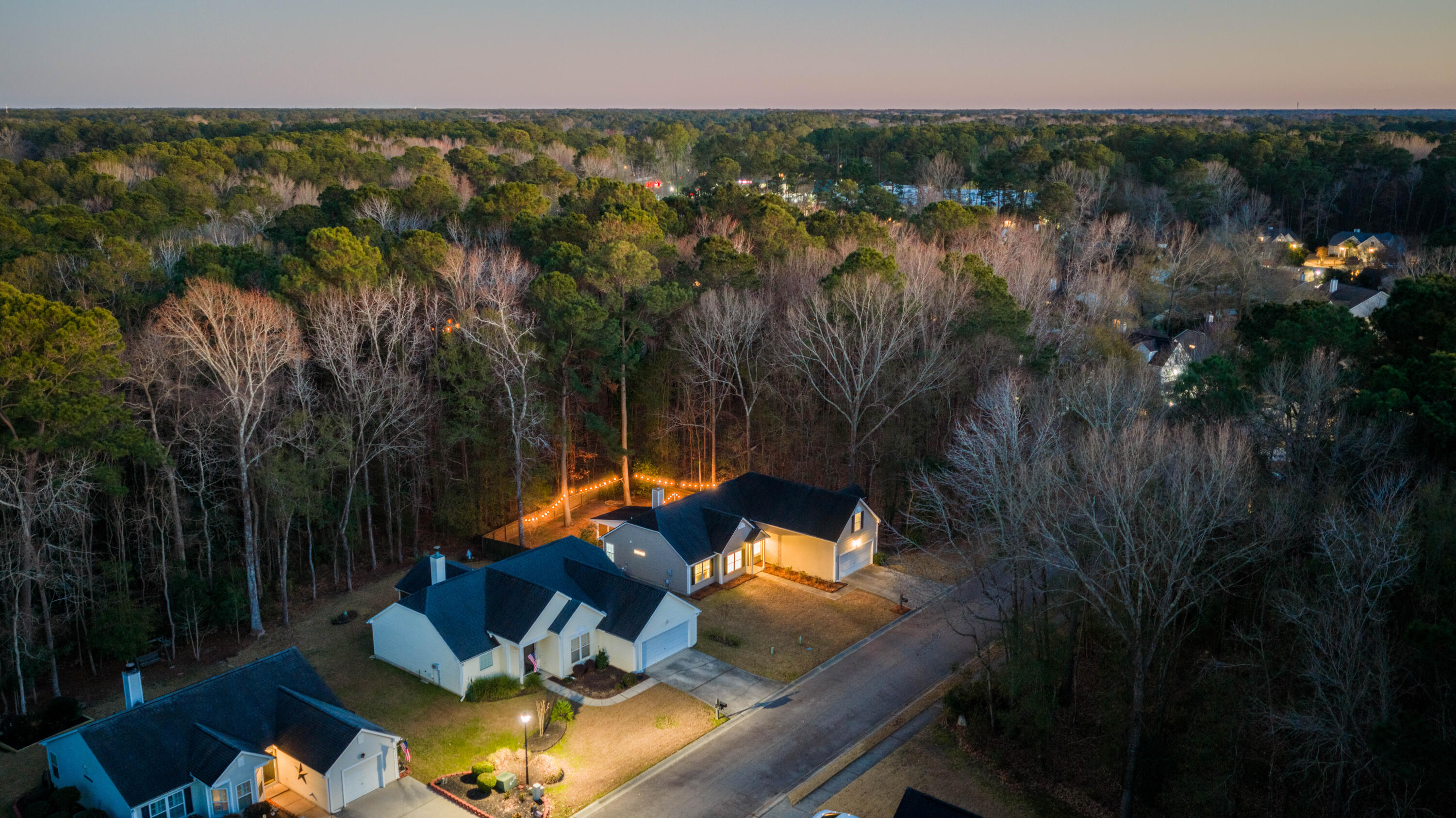 3370 Lindner Lane Mount Pleasant, SC 29466 - Photo 36 of 60 DJI_20260127182205_0151_D-HDR