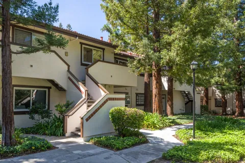 a view of a white house with a large tree and a yard with plants