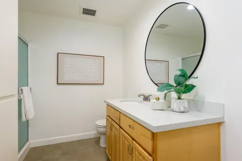 a bathroom with a sink a mirror and a potted plant