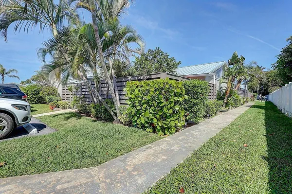 a view of a yard with potted plants