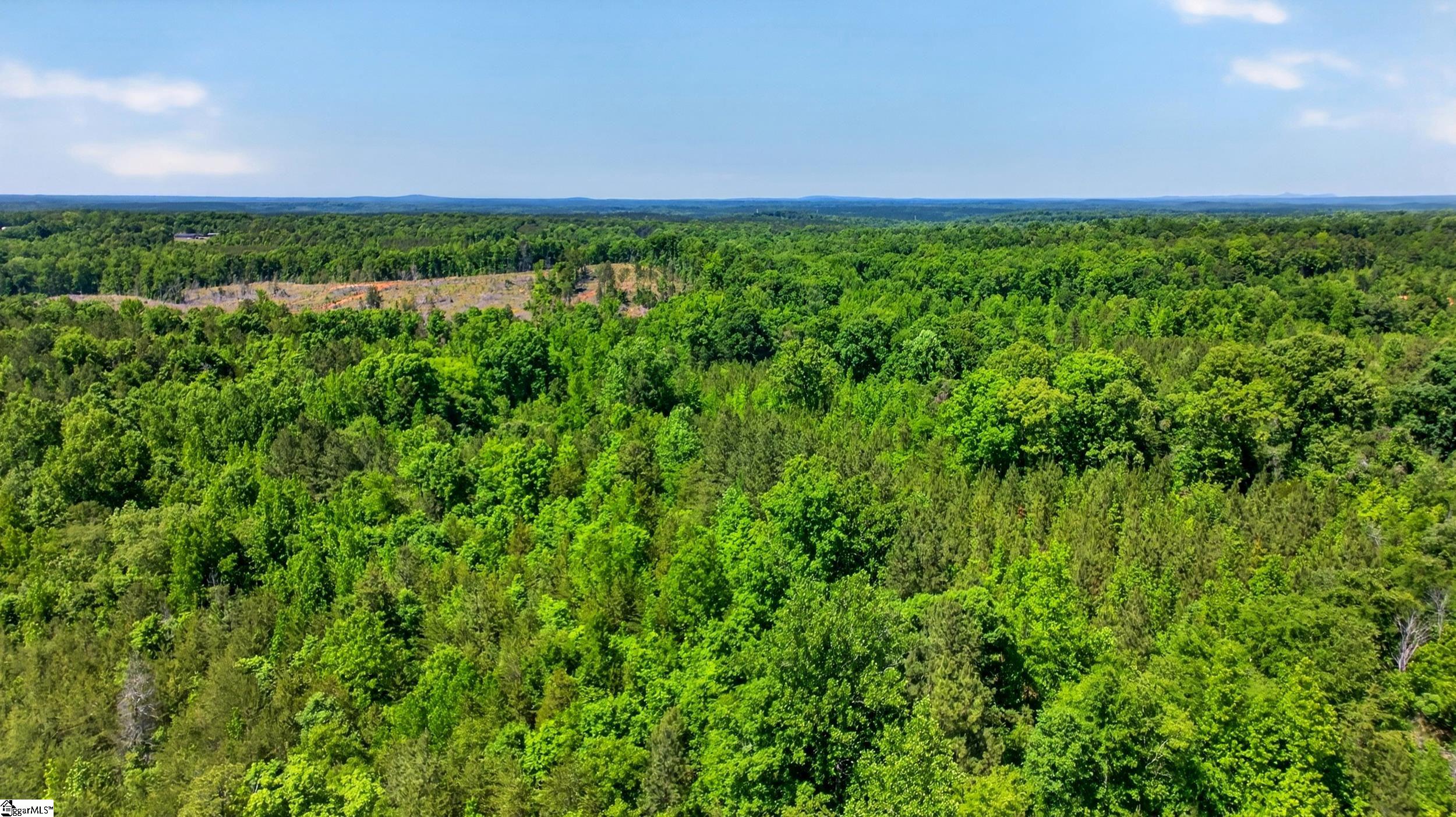 0 Gowdeysville Road, Unit LOT 1 Gaffney, SC 29340 - Photo 9 of 11
