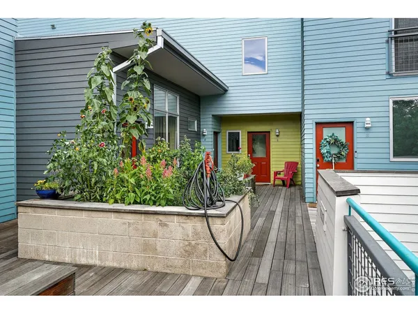 a view of house with wooden floor and potted plant