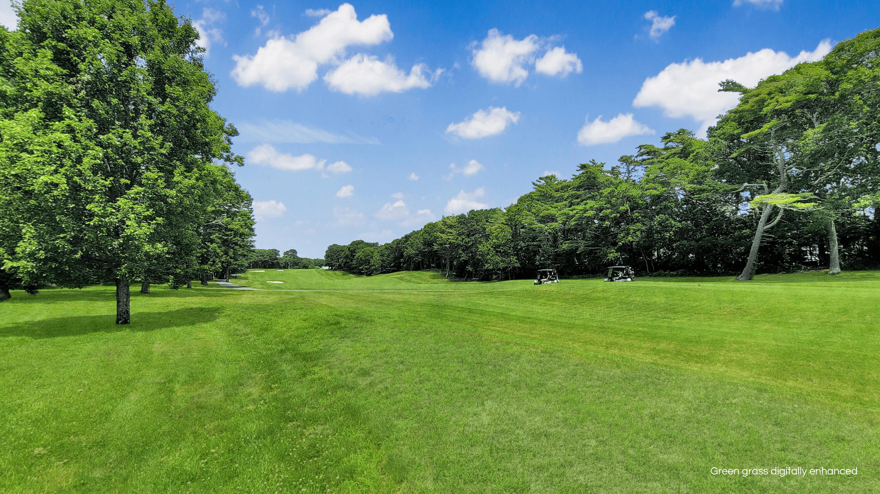 4 Quinns Way Mashpee, MA 02649 - Photo 25 of 28 a view of field with grass and trees