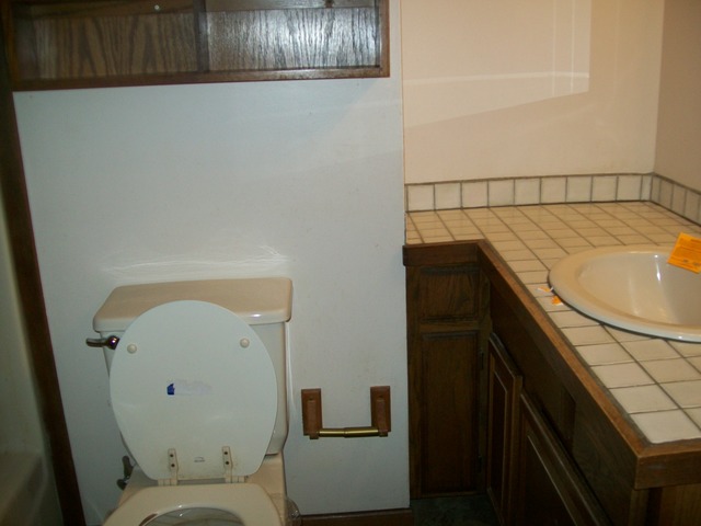 26155 West Lotus Road Antioch, IL 60002 - Photo 8 of 14 a bathroom with a sink and toilet
