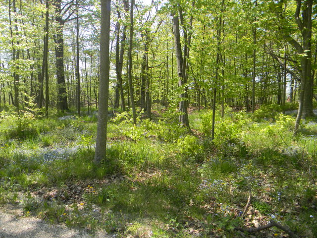 Lot #2 Northport Ridge Drive Ellison Bay, WI 54210 - Photo 1 of 1
