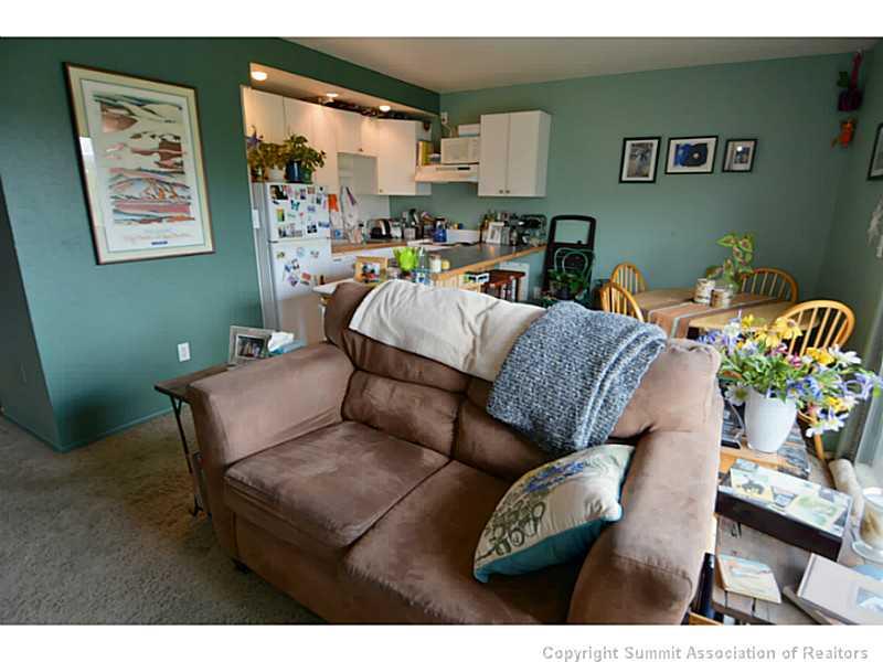 70 Evergreen Road, Unit 204 Dillon, CO 80435 - Photo 16 of 25