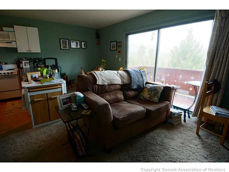 70 Evergreen Road, Unit 204 Dillon, CO 80435 - Photo 4 of 25