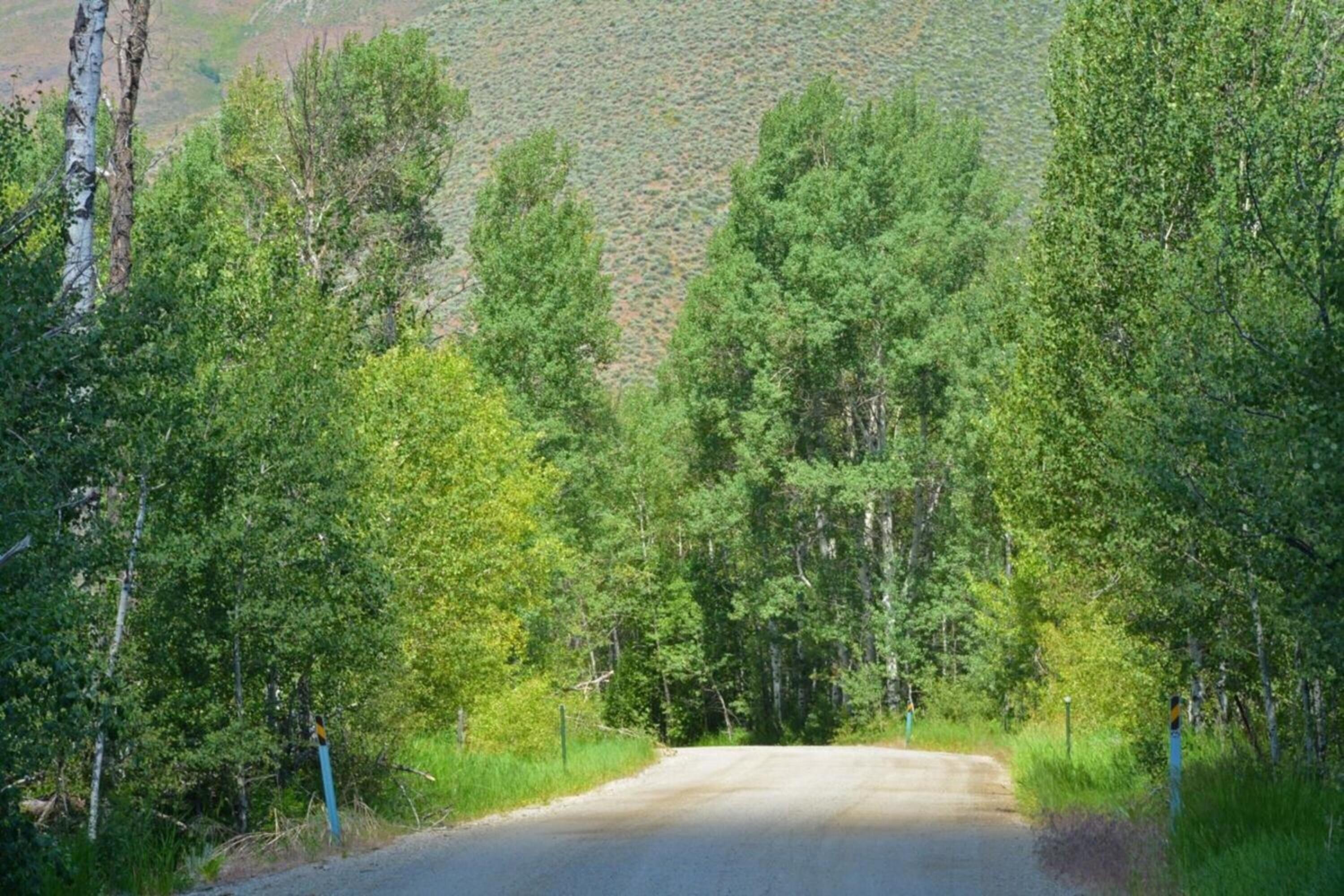 Tbd Tbd Road Hailey, ID 83333 - Photo 12 of 20 012_tbd_east_fork_road_lot_6_hailey_id_8