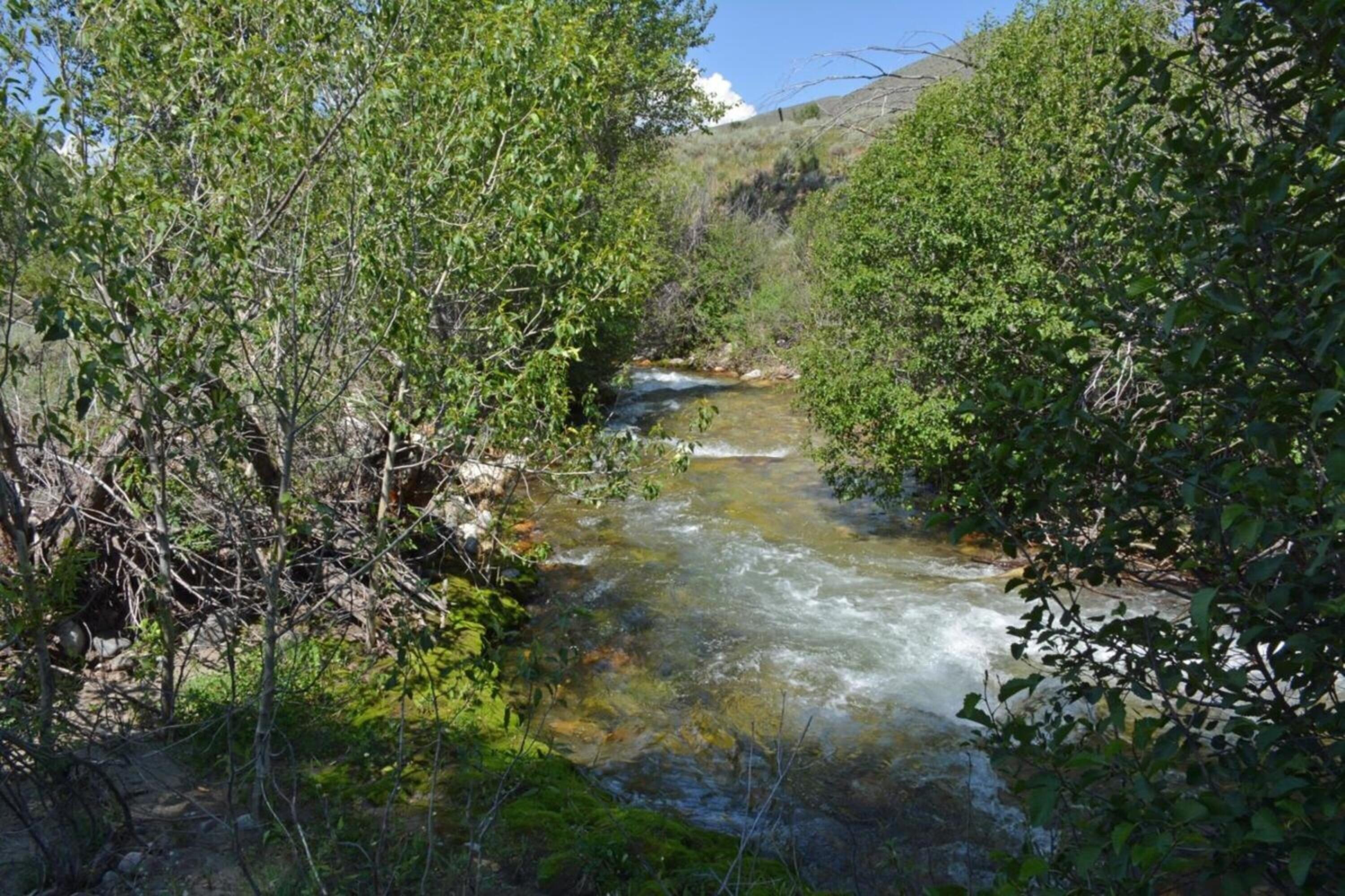 Tbd Tbd Road Hailey, ID 83333 - Photo 16 of 20 016_tbd_east_fork_road_lot_6_hailey_id_8