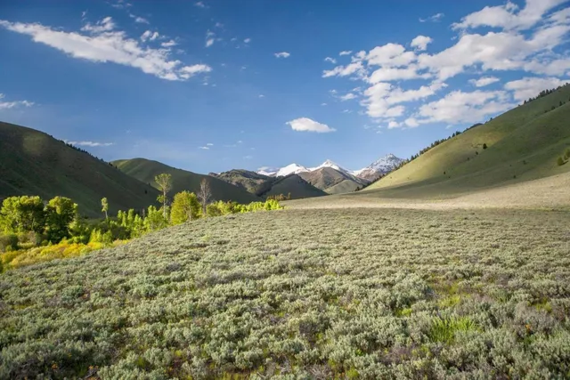 $9,800,000 | Tbd Tbd Road, Hailey, ID 83333