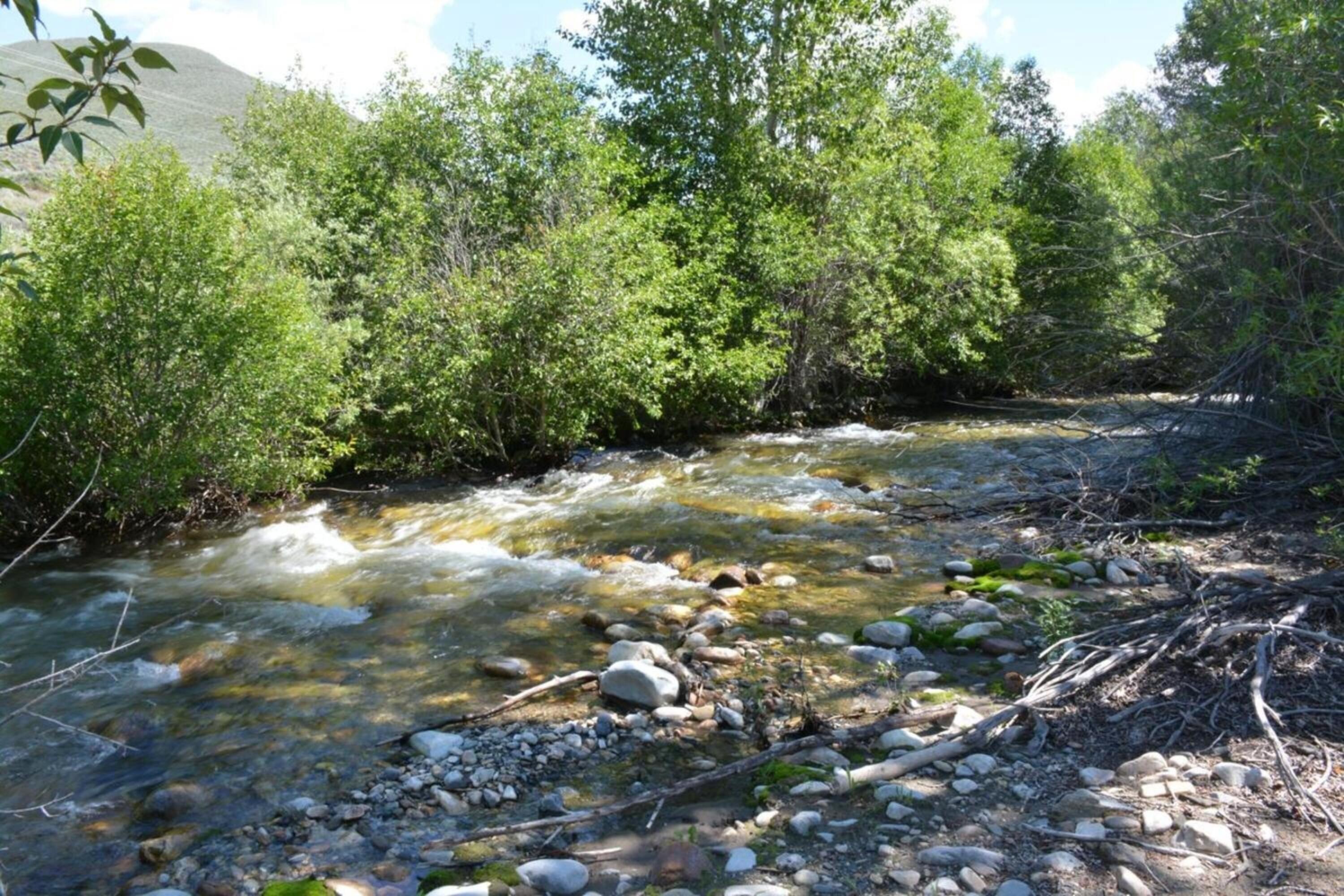 Tbd Tbd Road Hailey, ID 83333 - Photo 8 of 20 008_tbd_east_fork_road_lot_6_hailey_id_8