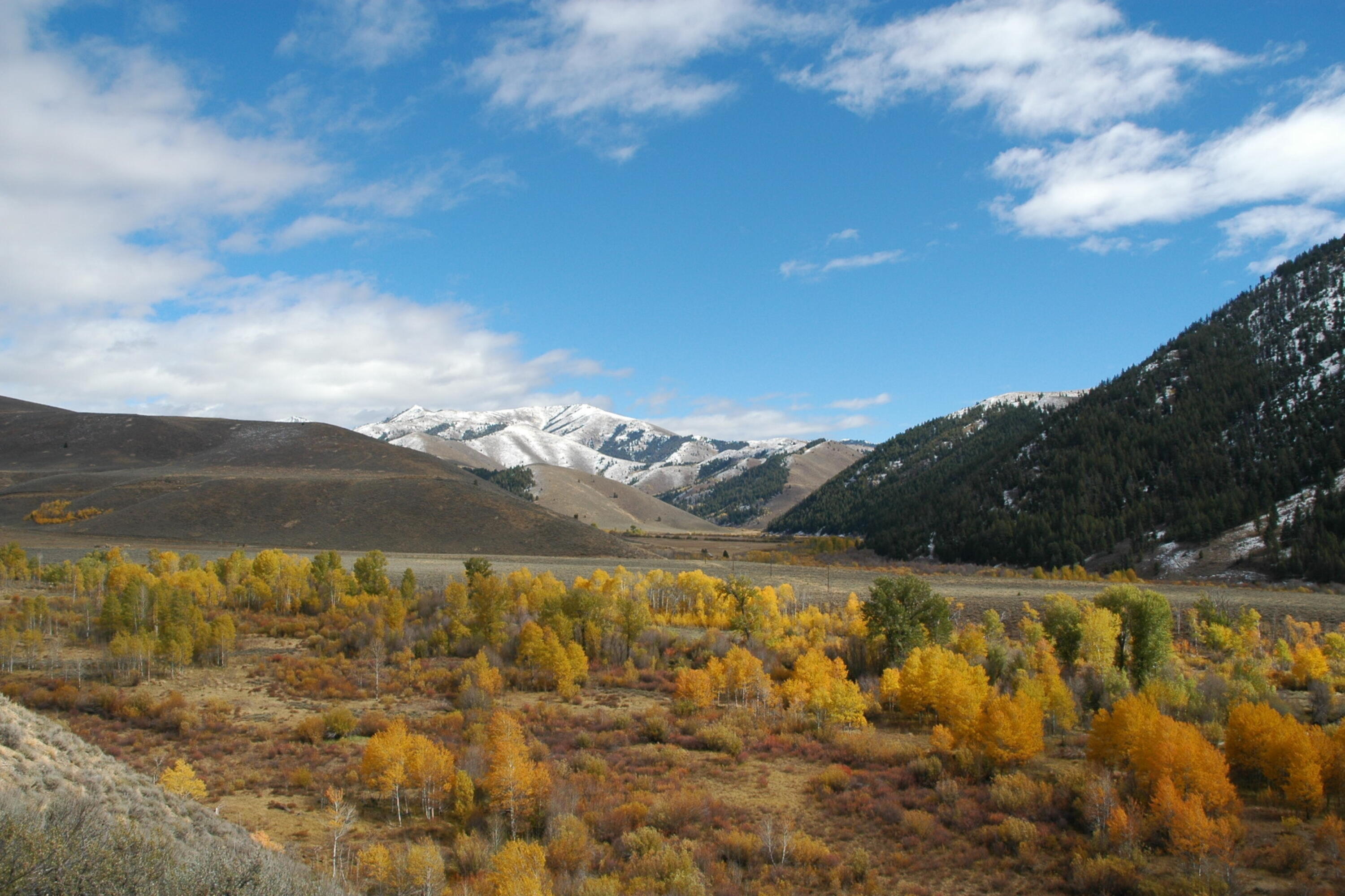 Tbd Tbd Road Hailey, ID 83333 - Photo 10 of 20 010_tbd_east_fork_road_lot_6_hailey_id_8