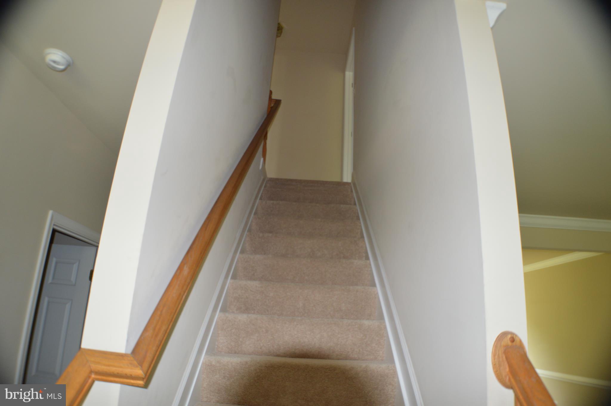 8408 Lark Brown Road Columbia, MD 21045 - Photo 14 of 30 brand new carpet in all and bedrooms