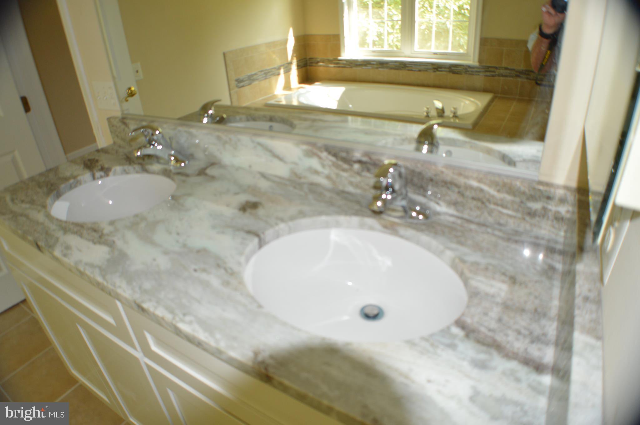 8408 Lark Brown Road Columbia, MD 21045 - Photo 18 of 30 Bath (Master) new granite tops and faucets