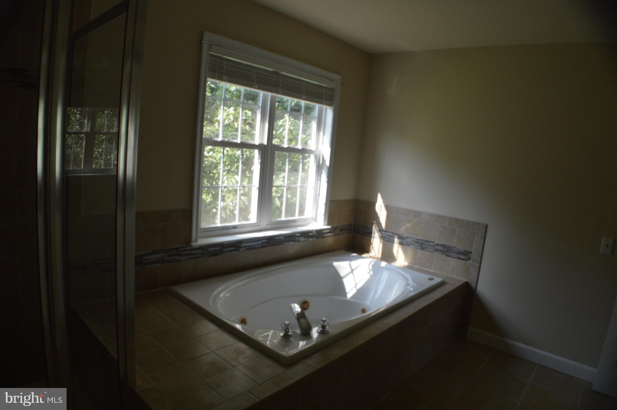 8408 Lark Brown Road Columbia, MD 21045 - Photo 19 of 30 Bath (Master) soaking tub for quiet mouments
