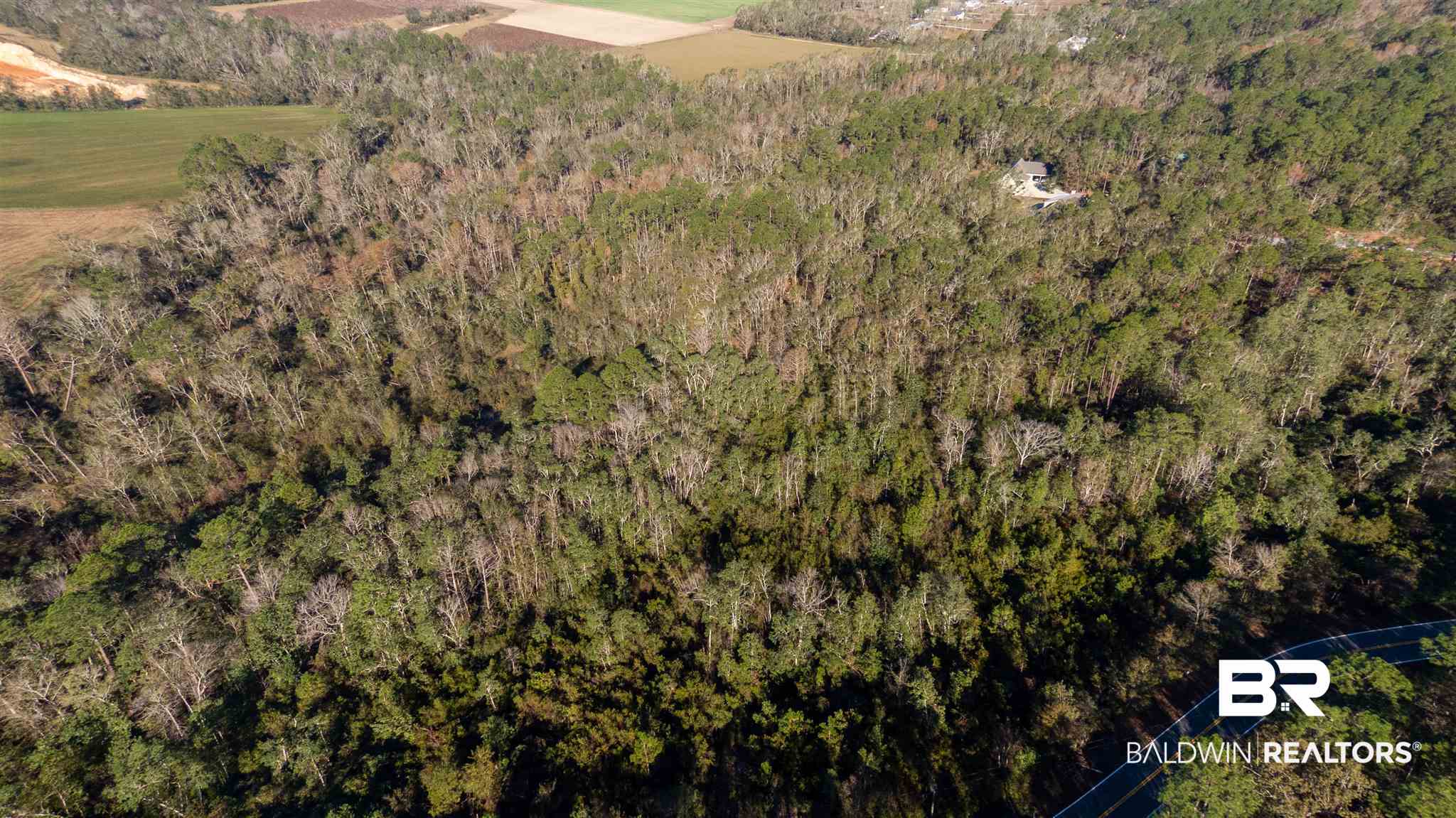 0 McPhillips Road Loxley, AL 36551 - Photo 12 of 27