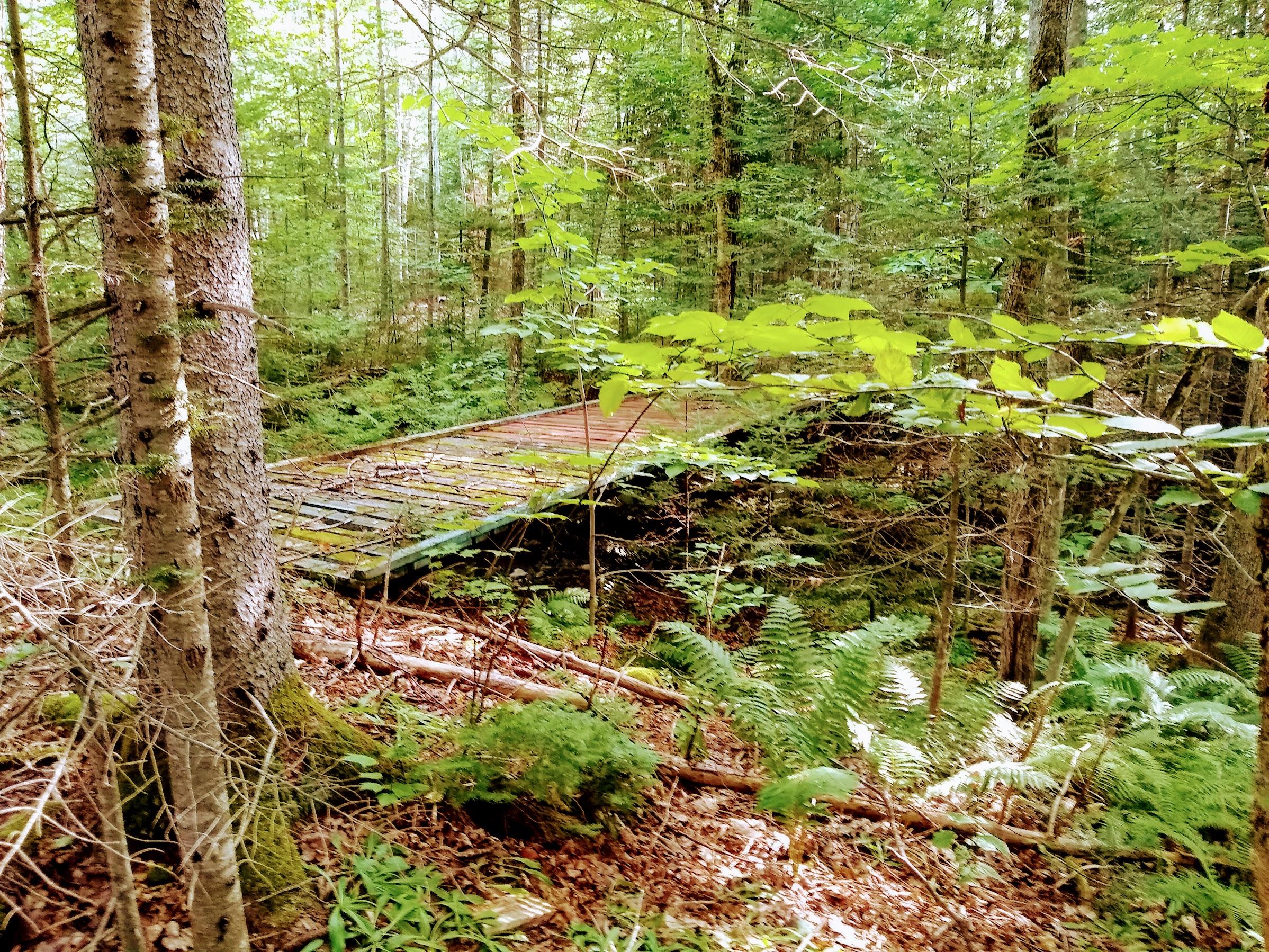 131 Batchelder Road Garland, ME 04939 - Photo 36 of 39 IMG_20190827_084209761